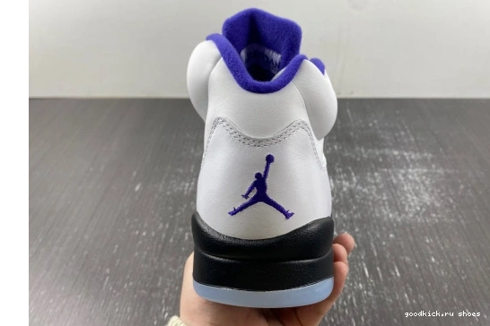 DD0587-141 Dark Jordan  Retro DD0587-141 Concord 5 0510